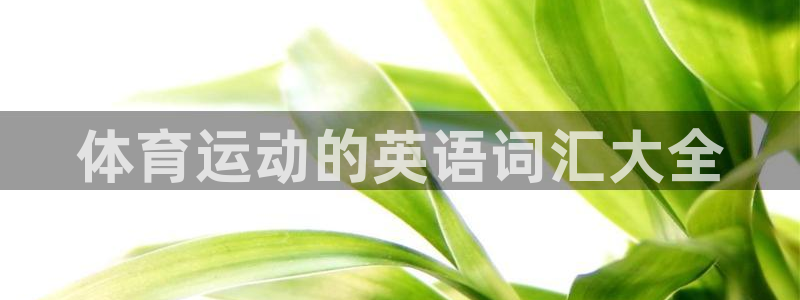 vsport体育官网下载招商电话号码:体育运动的英语词汇大全