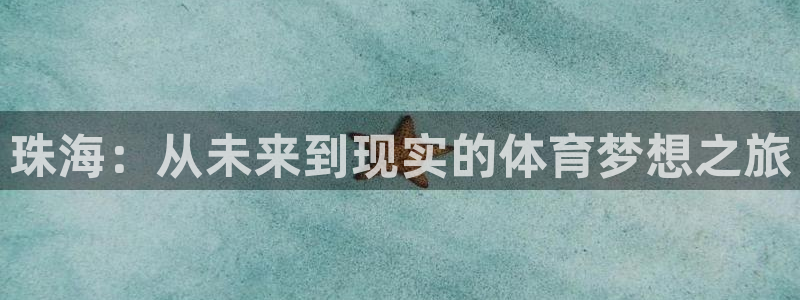 德国vsport体育官方正版app集团:珠海:从未来到现实的