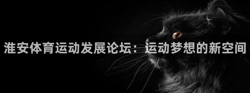 vsport体育官方正版app集团:淮安体育运动发展论坛:运