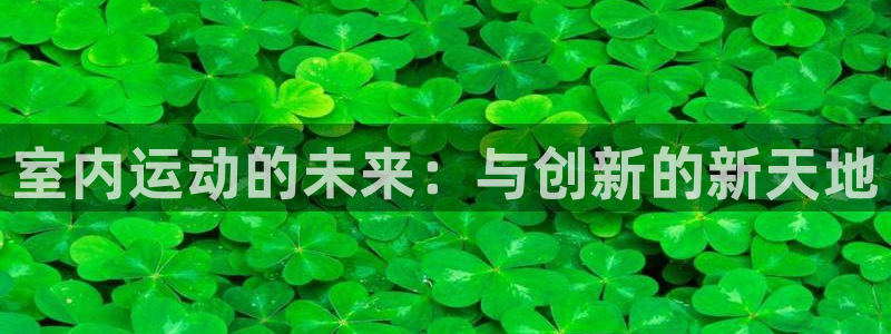 vsport体育官方正版app集团官网首页网址:室内运动的未