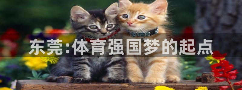 vsport体育官网下载是干嘛的公司:东莞:体育强国梦的起点